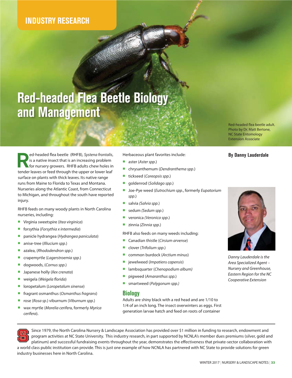 Red-Headed Flea Beetle Biology and Management Red-Headed Fea Beetle Adult