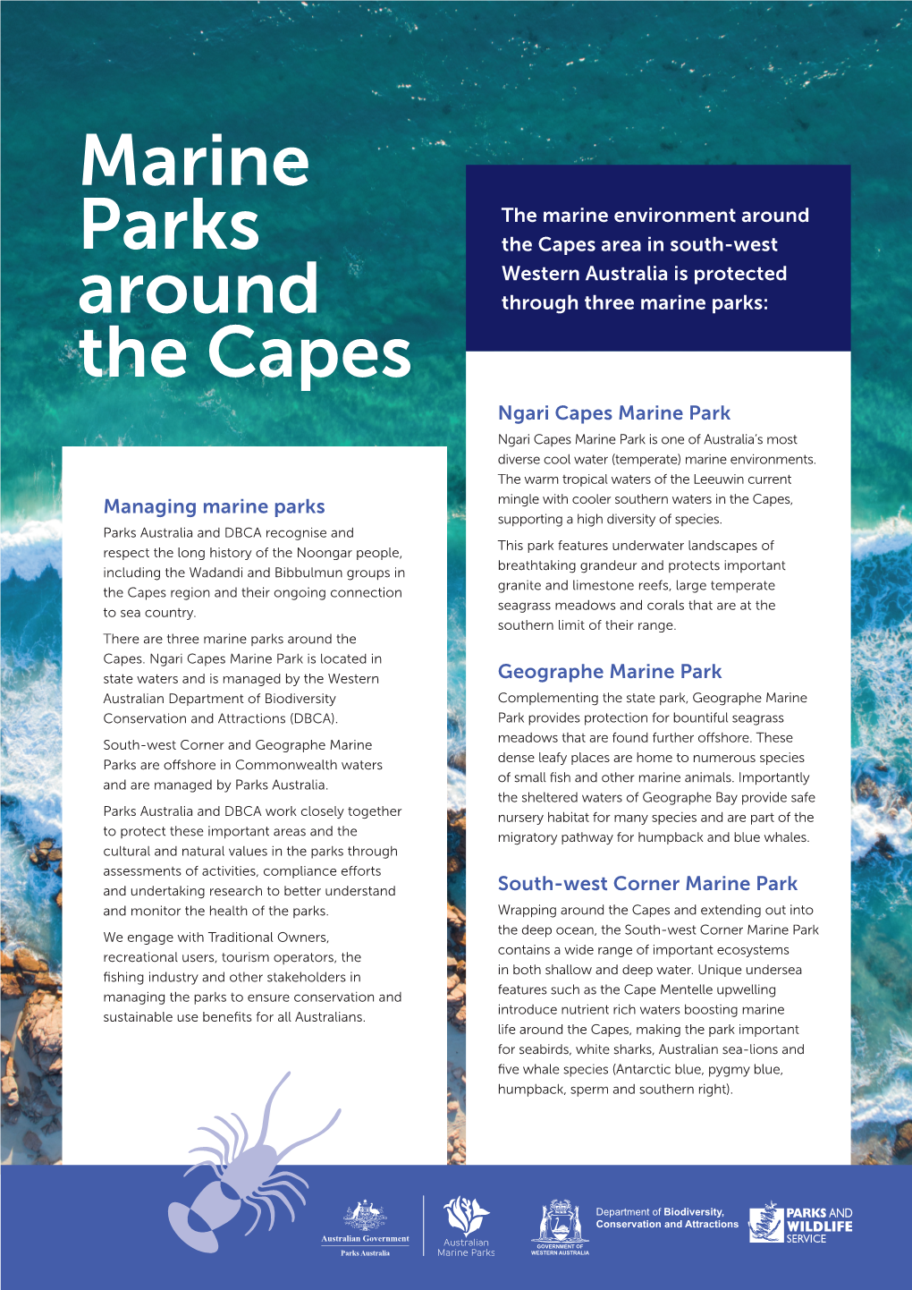 Marine Parks Around the Capes