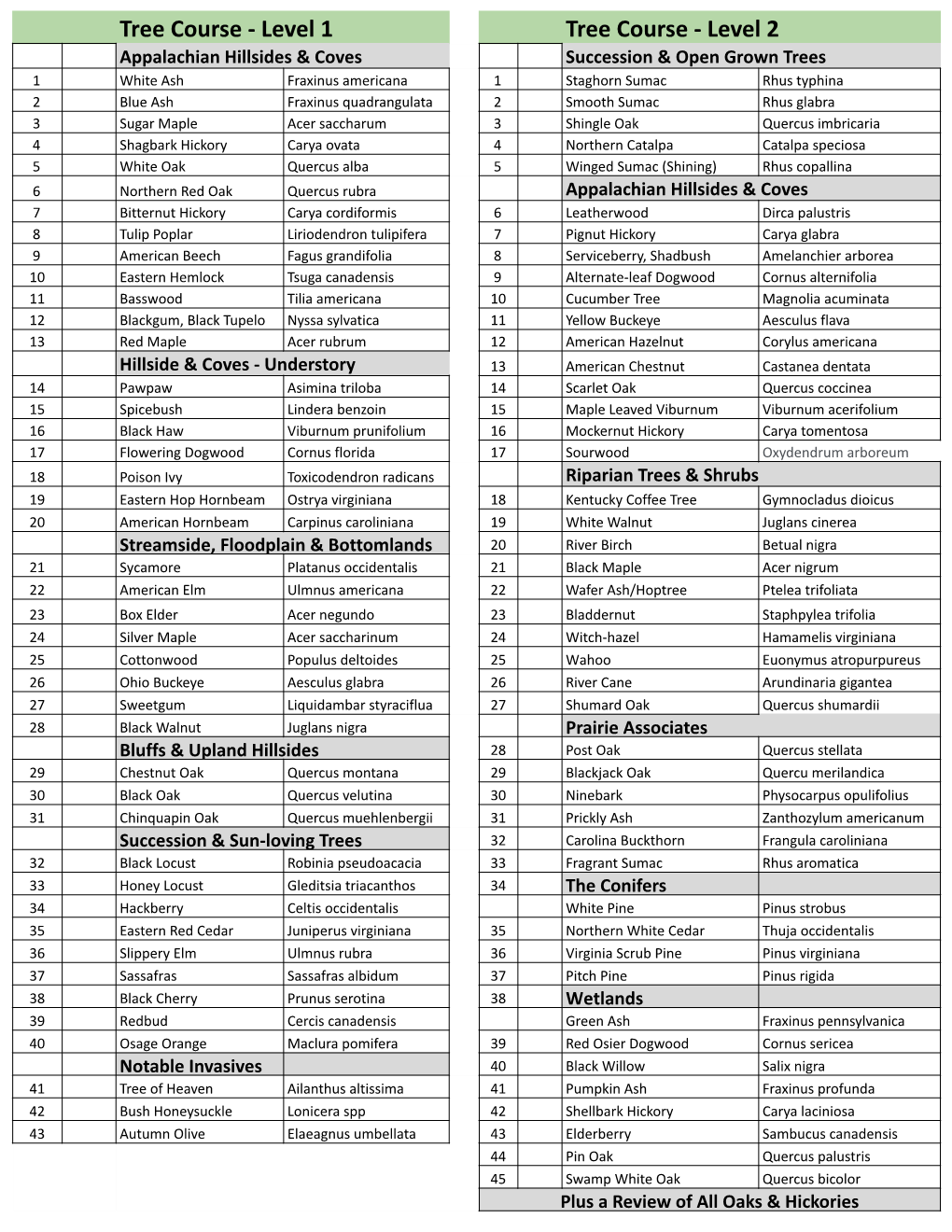 Tree Checklist