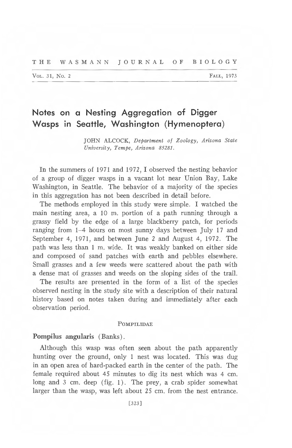 Notes on a Nesting Aggregation of Digger Wasps in Seattle, Washington (Hymenoptera)
