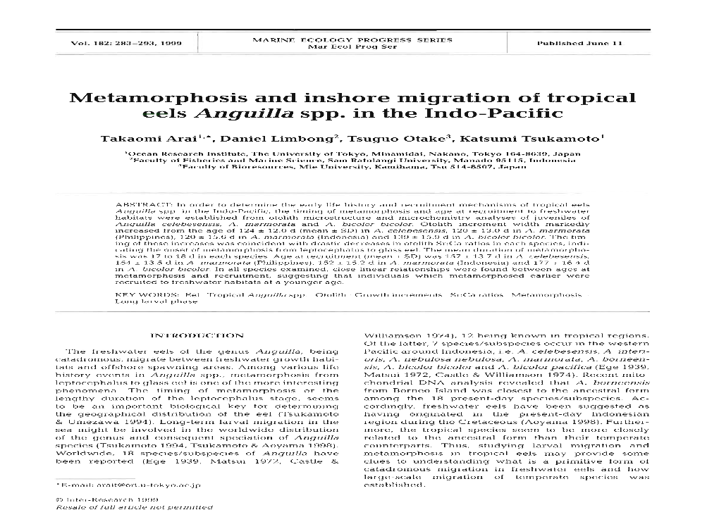 Metamorphosis and Inshore Migration of Tropical Eels Anguilla Spp. in the Indo-Pacific