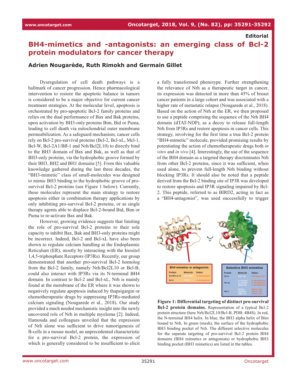 An Emerging Class of Bcl-2 Protein Modulators for Cancer Therapy