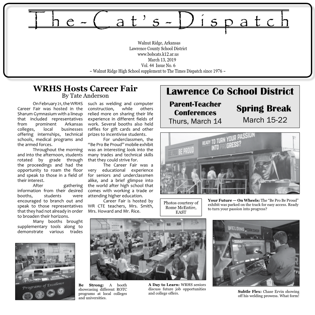 The-Cat's-Dispatch