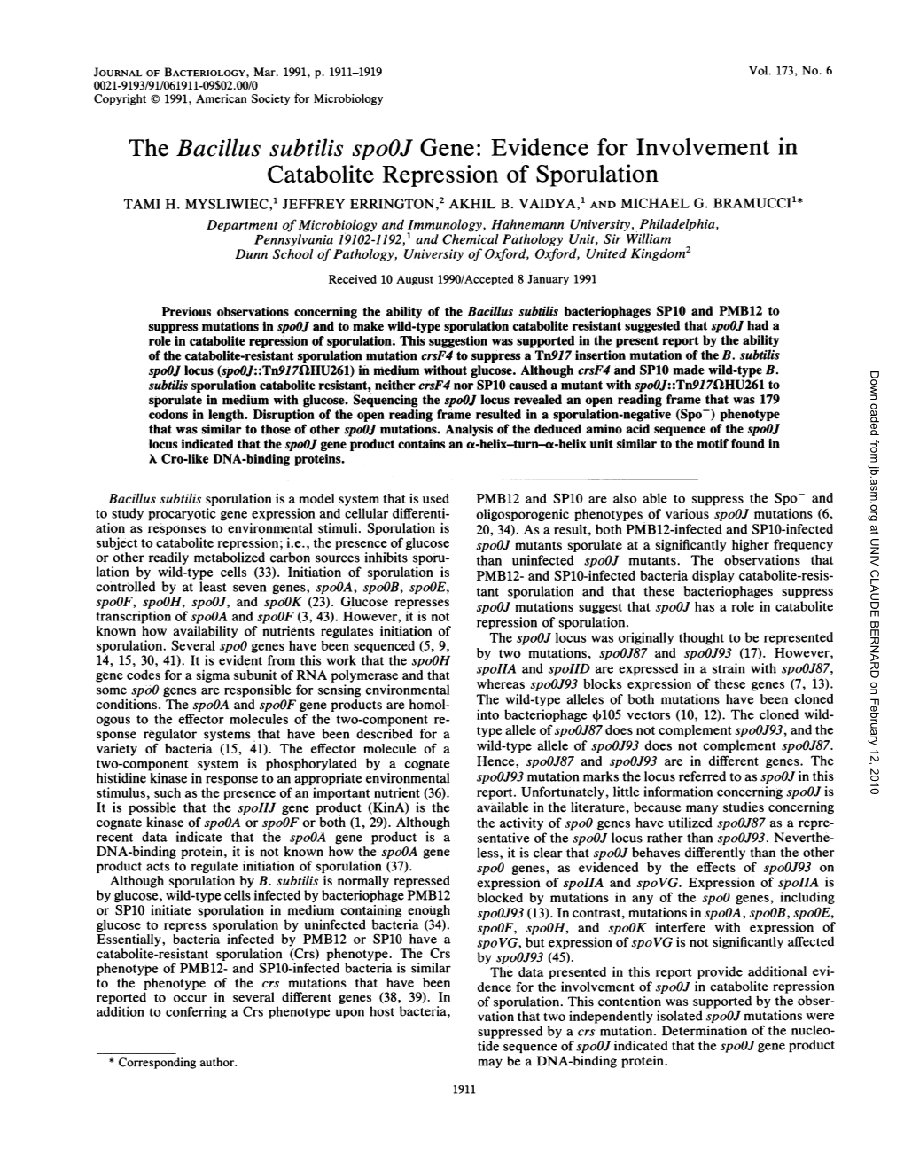 The Bacillus Subtilis Spooj Gene:Evidence for Involvement In