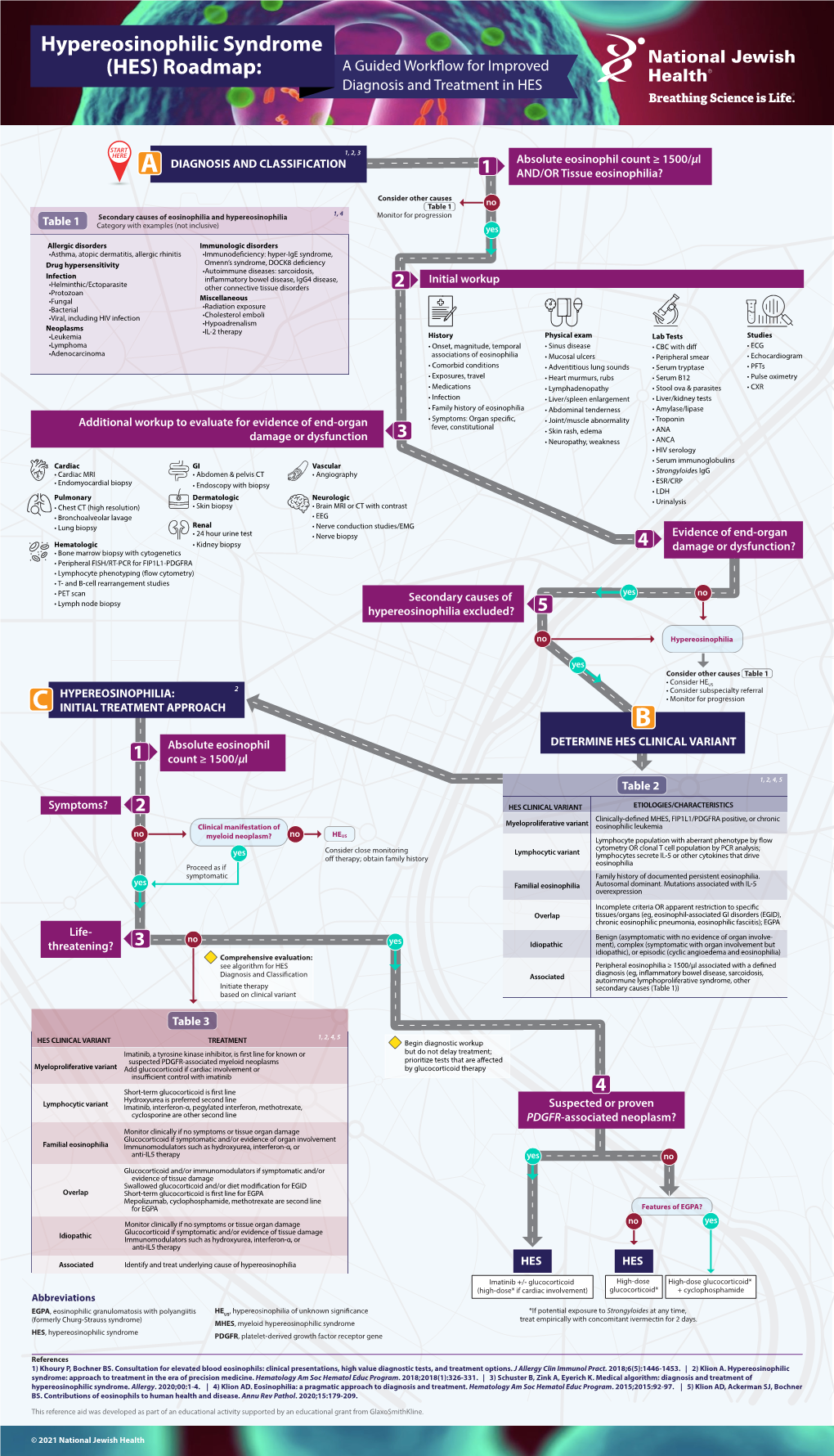 Hypereosinophilic Syndrome (HES) Roadmap