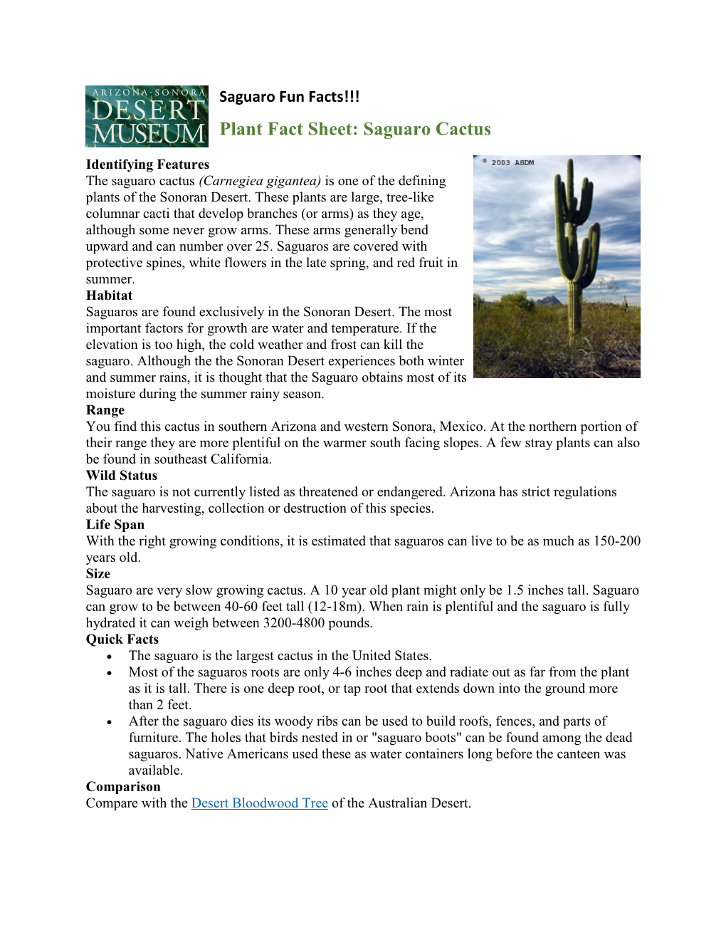 Plant Fact Sheet: Saguaro Cactus