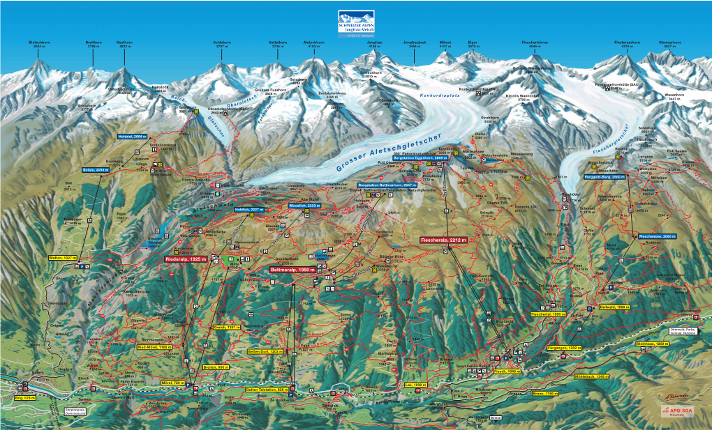 Oberaarhorn 3934 M 3785 M 3822 M 3797 M 3745 M 4193 M 4158 M 3454 M 4107 M 3970 M 4049 M 4274 M 3637 M