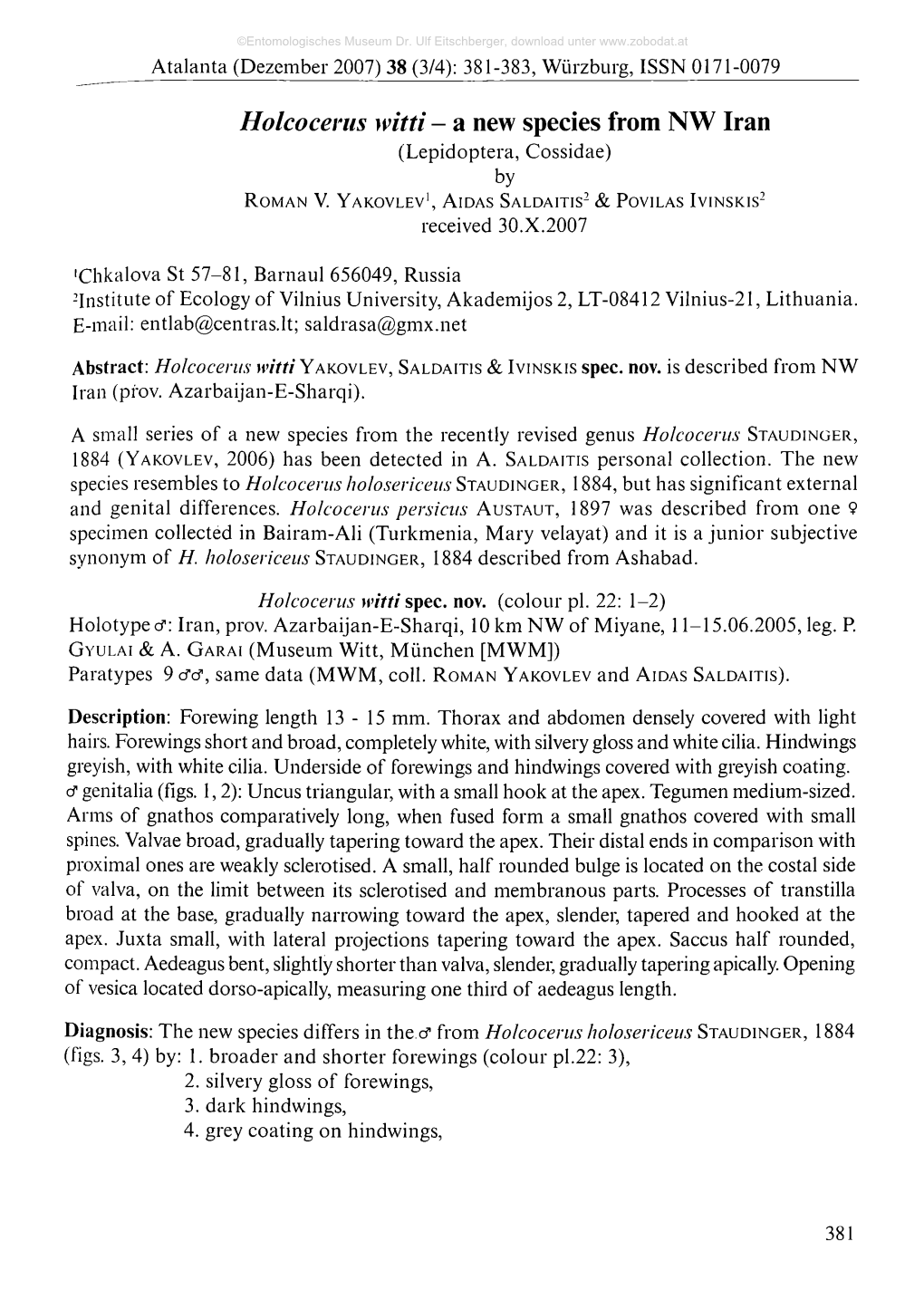 Holcocevus Witti - a New Species from NW Iran (Lepidoptera, Cossidae) by R Oman V