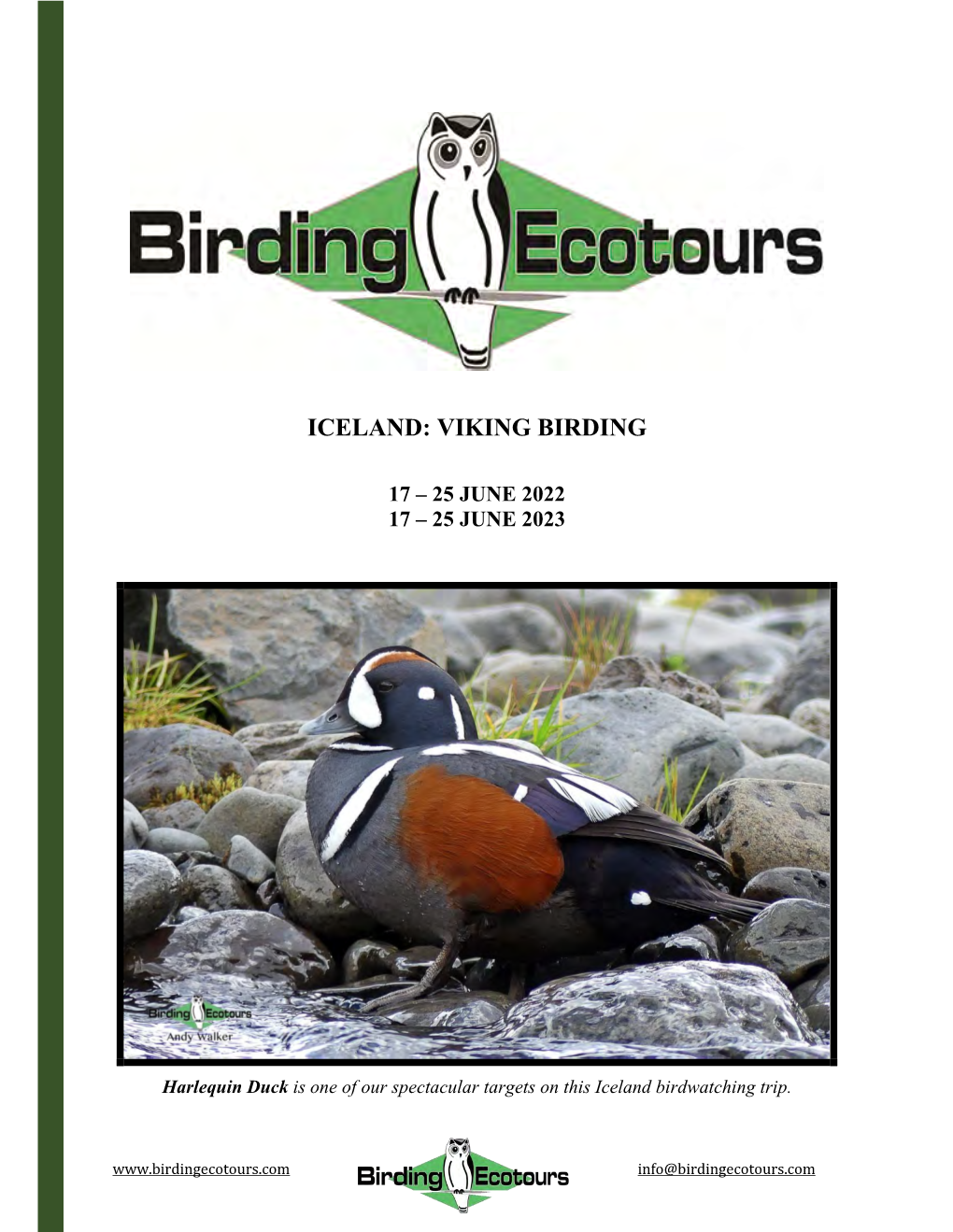 Iceland: Viking Birding