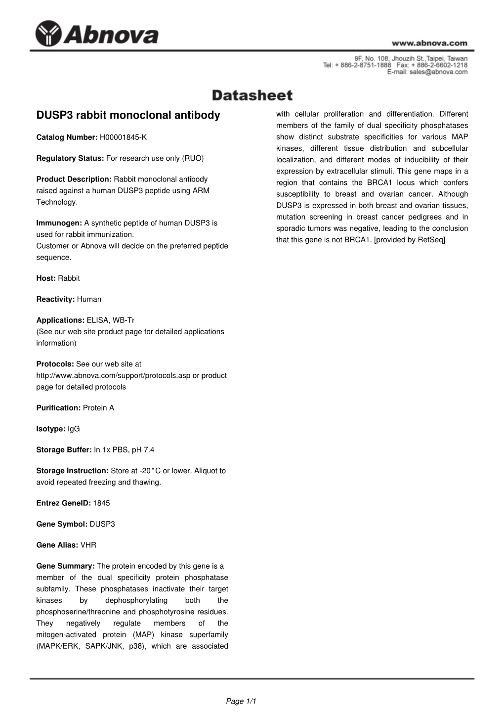 DUSP3 Rabbit Monoclonal Antibody with Cellular Proliferation and Differentiation