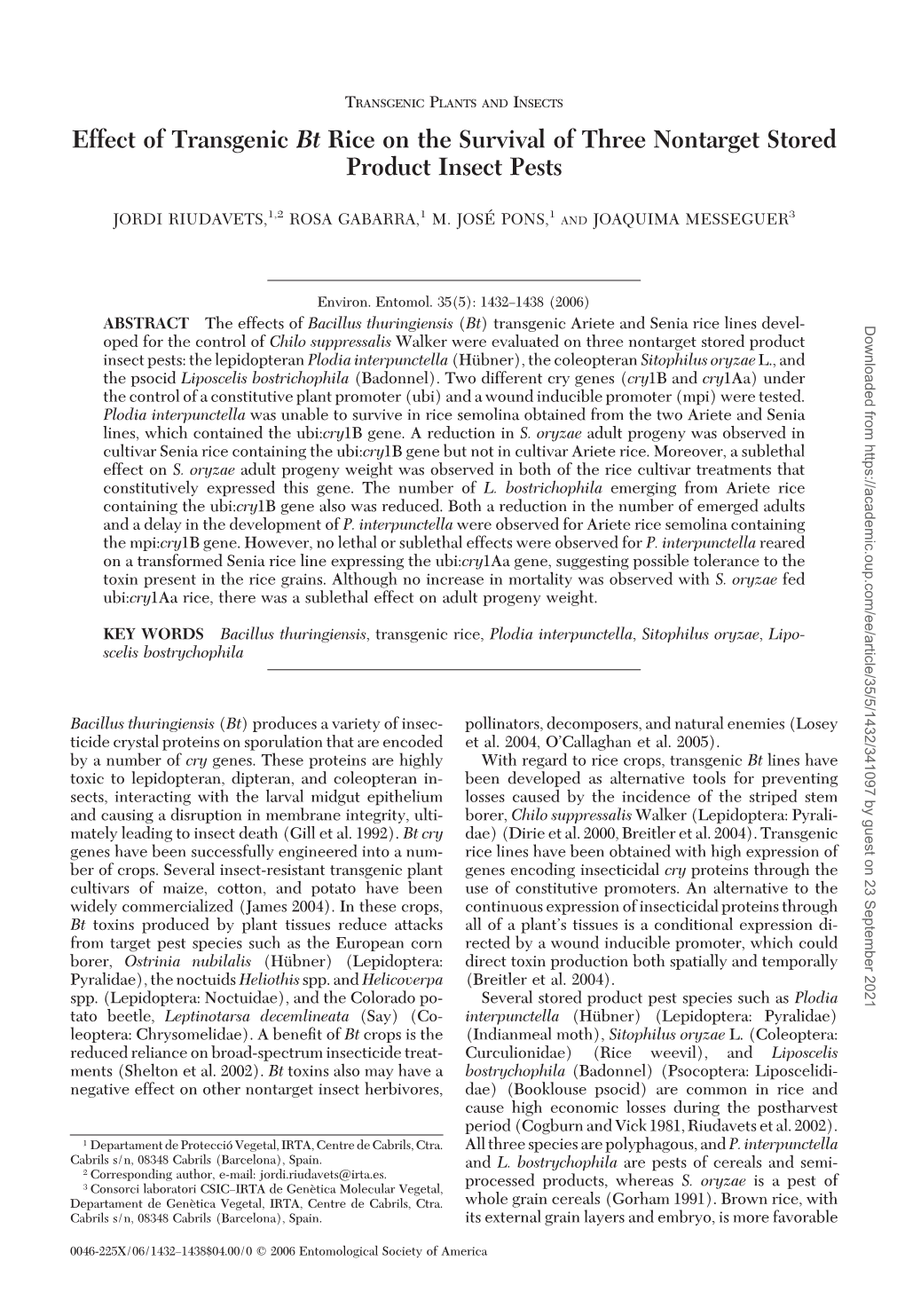 Effect of Transgenic Bt Rice on the Survival of Three Nontarget Stored Product Insect Pests