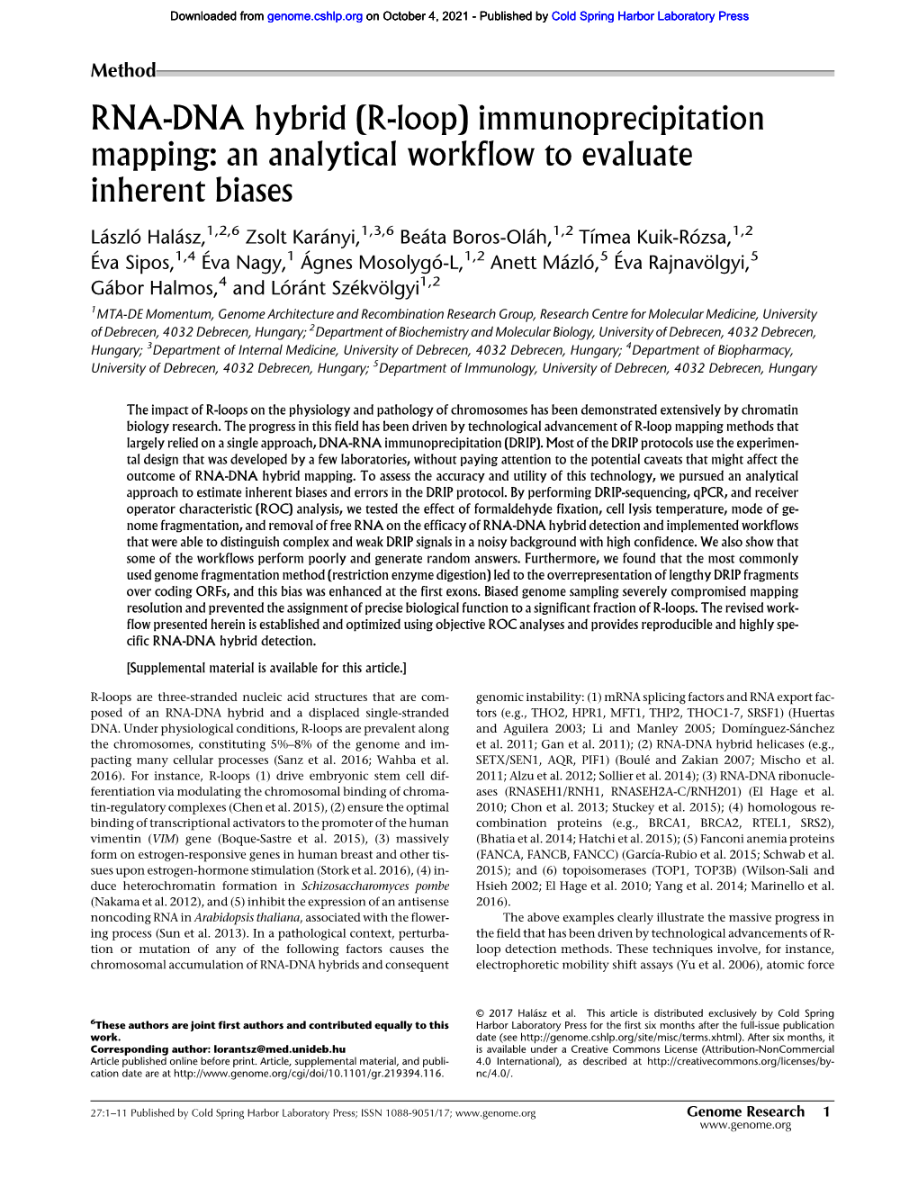 RNA-DNA Hybrid (R-Loop) Immunoprecipitation Mapping: an Analytical Workflow to Evaluate Inherent Biases