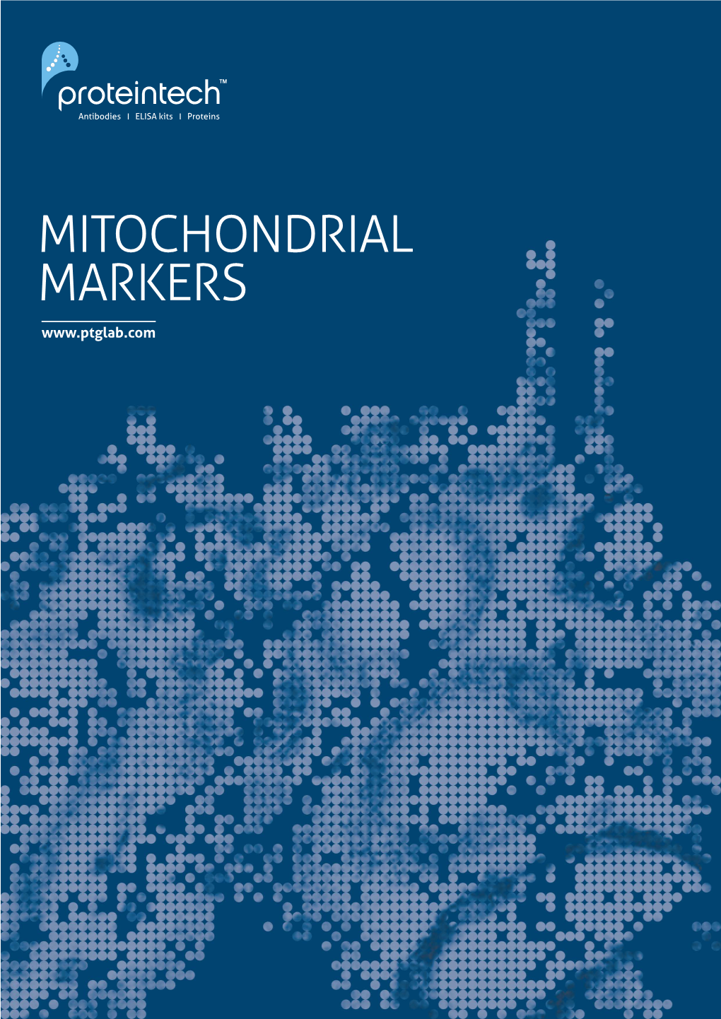 Mitochondrial Markers 1