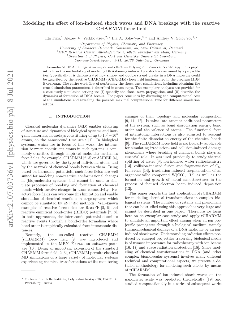 Modeling the Effect of Ion-Induced Shock Waves and DNA Breakage