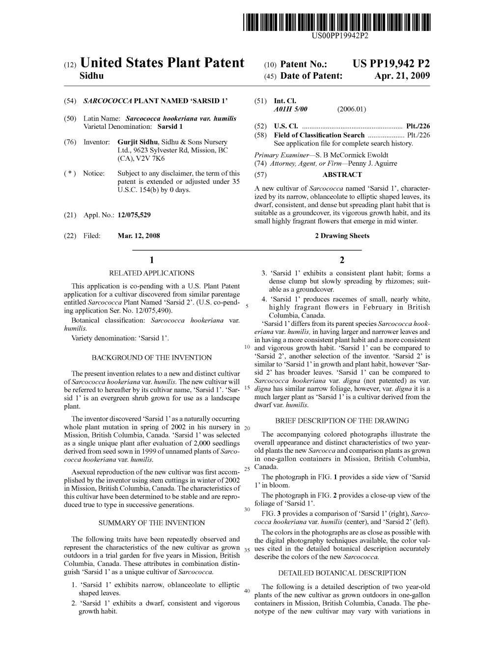 (12) United States Plant Patent (10) Patent No.: US PP19,942 P2 Sidhu (45) Date of Patent: Apr