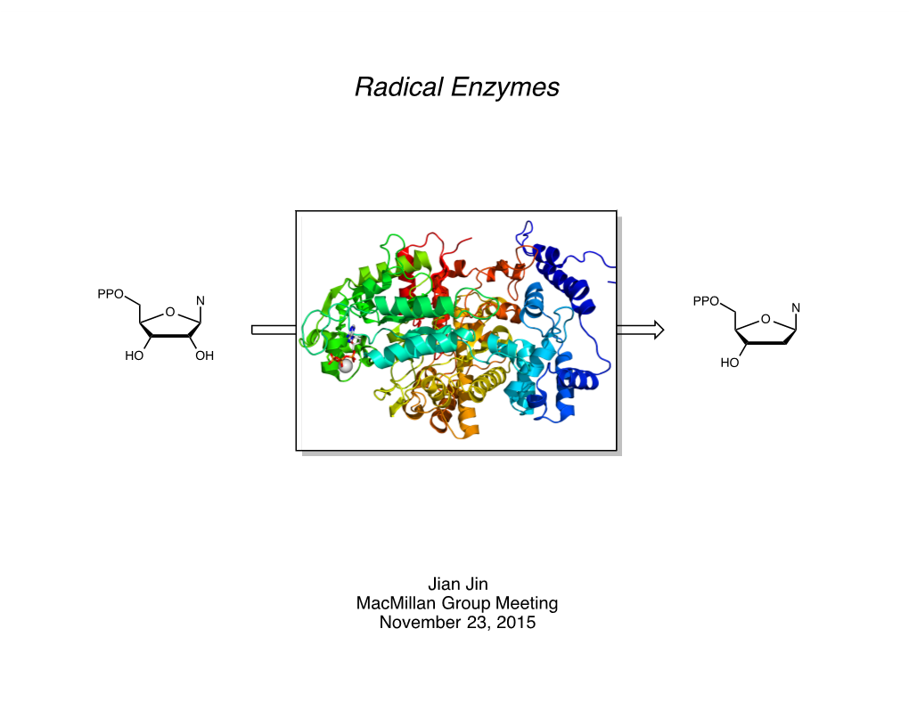 SAM Radical Enzymes