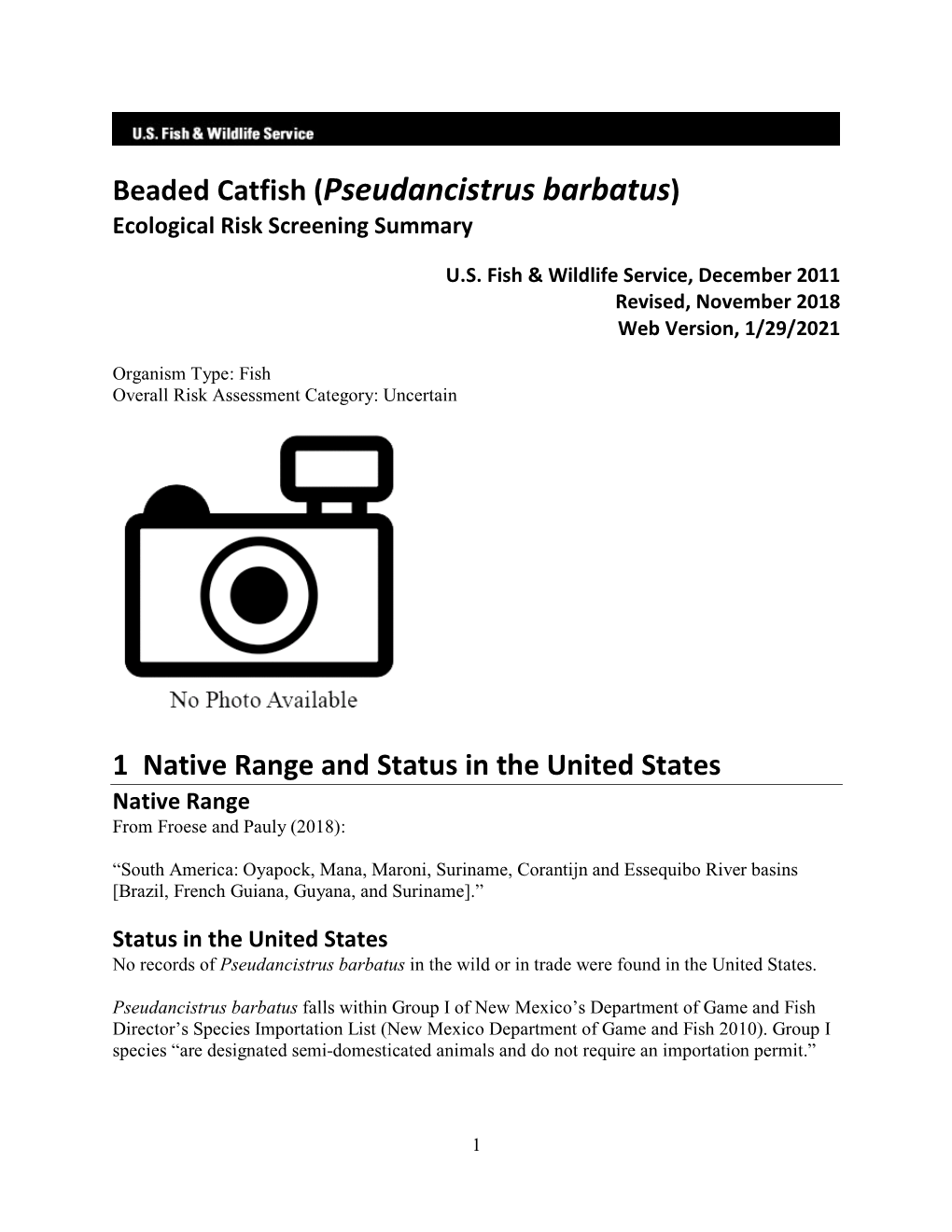 Pseudancistrus Barbatus) Ecological Risk Screening Summary