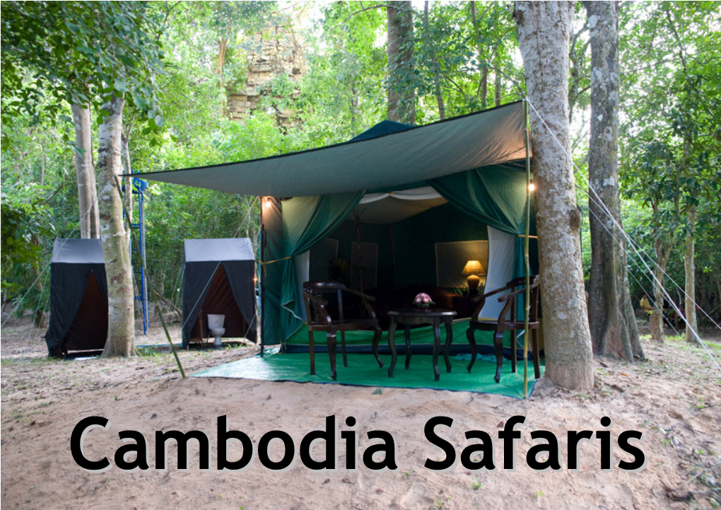 Cambodia Safaris Can Be Tackled by Motorbike with Support Vehicle for the More Adventurous at Heart