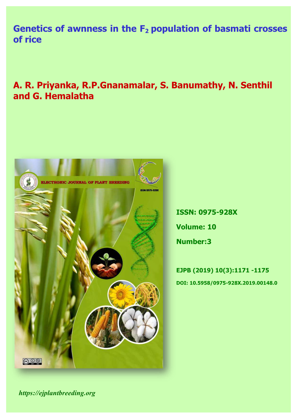 Genetics of Awnness in the F2 Population of Basmati Crosses of Rice