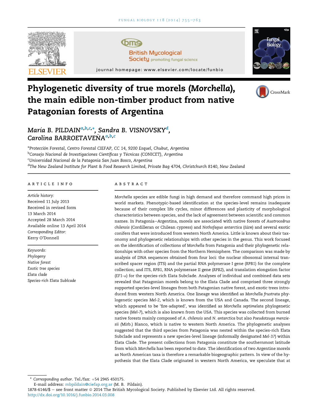 Phylogenetic Diversity of True Morels (Morchella), the Main Edible Non-Timber Product from Native Patagonian Forests of Argentina