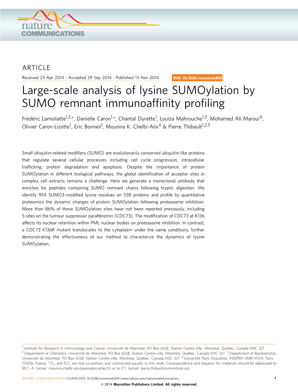 Large-Scale Analysis of Lysine Sumoylation by SUMO Remnant Immunoafﬁnity Proﬁling