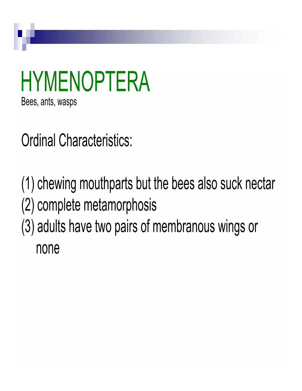 HYMENOPTERA Bees, Ants, Wasps