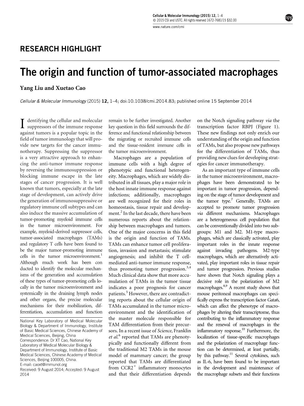 The Origin and Function of Tumor-Associated Macrophages