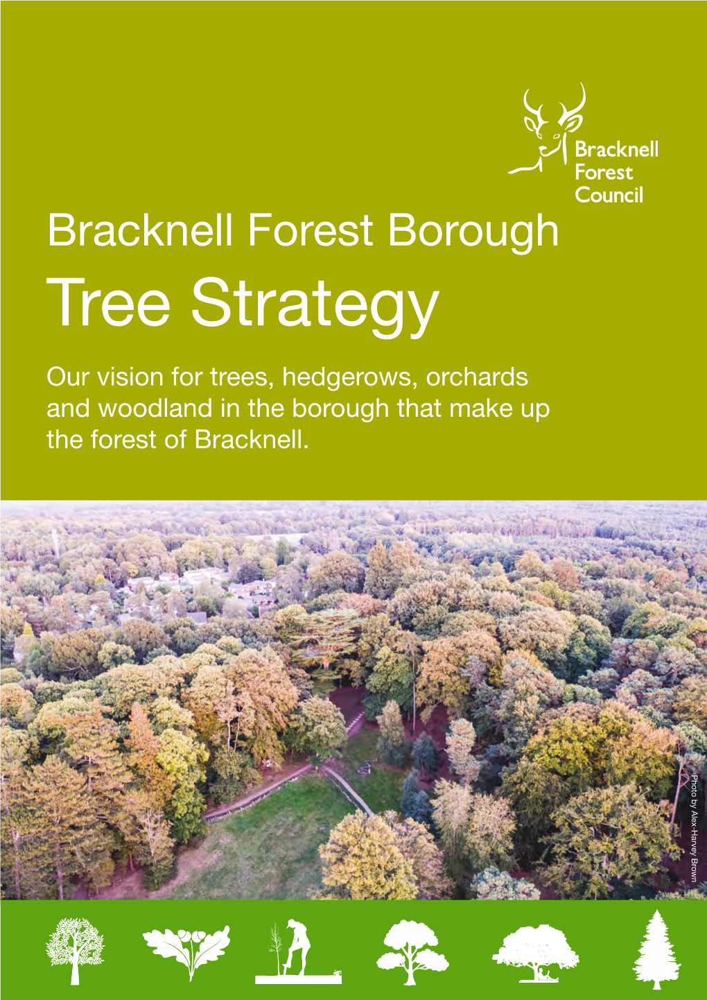 Bracknell Forest Borough Tree Strategy Our Vision for Trees, Hedgerows, Orchards and Woodland in the Borough That Make up the Forest of Bracknell