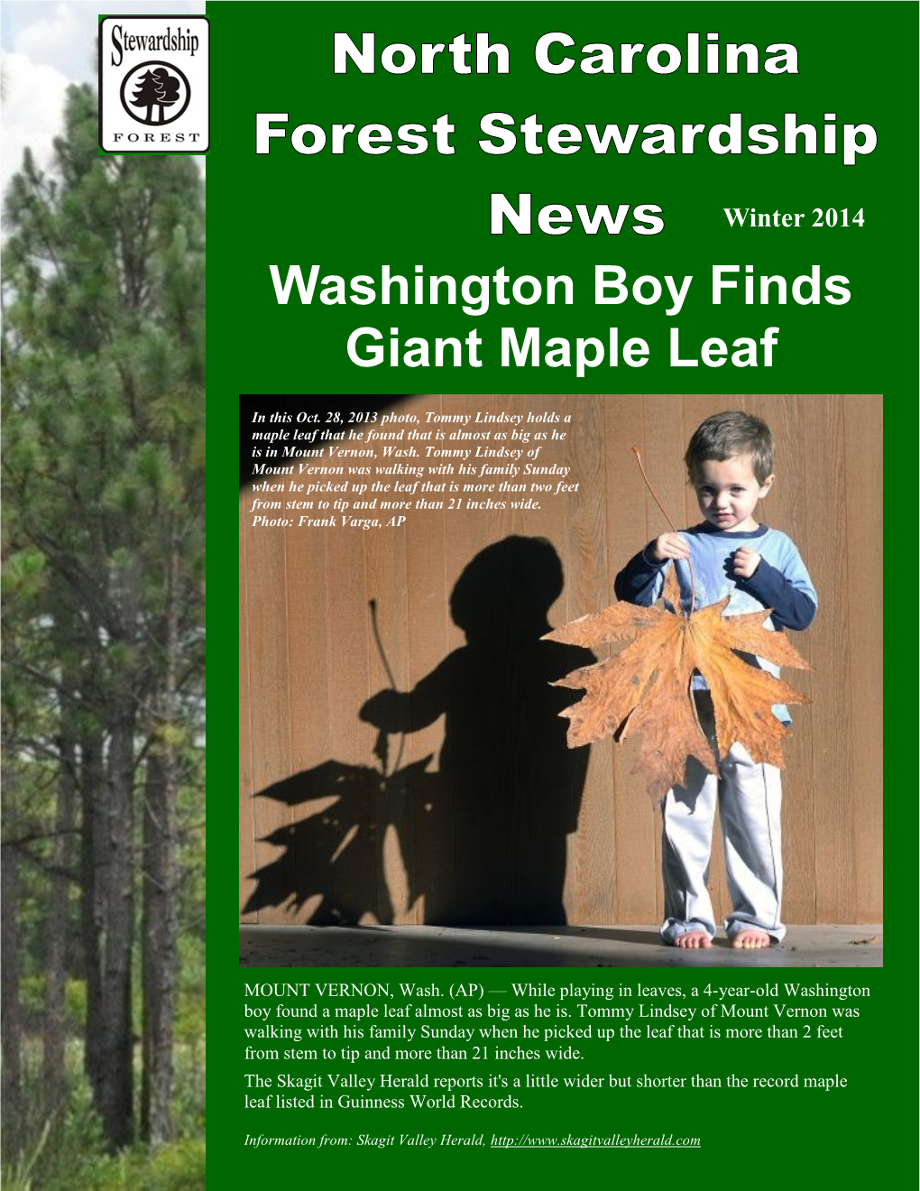 Washington Boy Finds Giant Maple Leaf