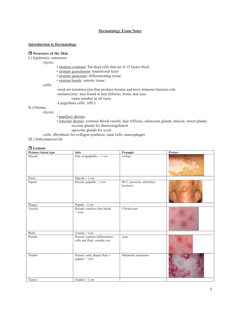 Dermatology Exam Notes Introduction to Dermatology Structure of the Skin I.) Epidermis