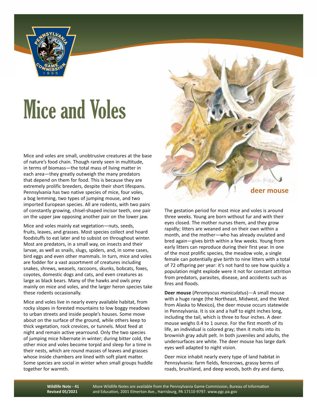 Mice and Voles