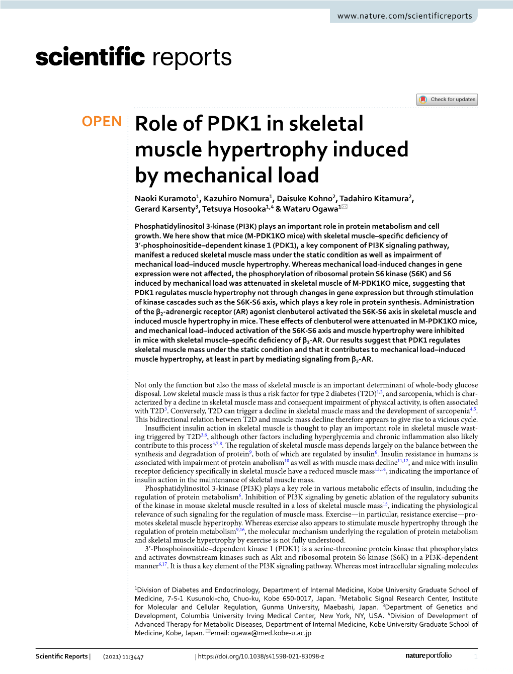Role of PDK1 in Skeletal Muscle Hypertrophy Induced by Mechanical