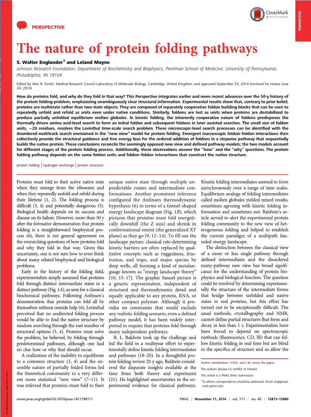 The Nature of Protein Folding Pathways S