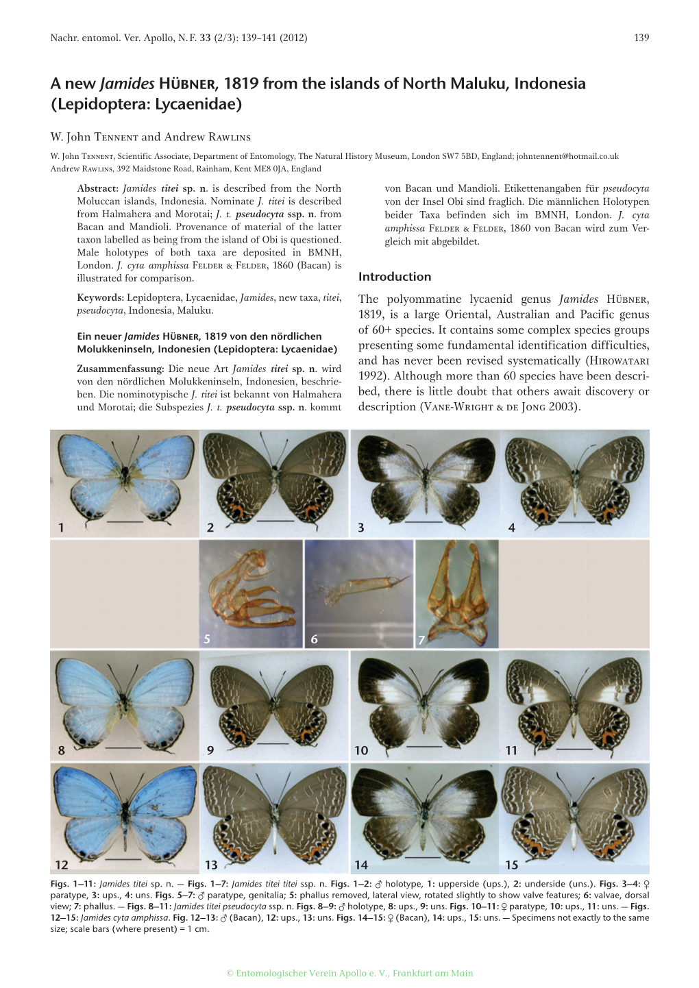 Lepidoptera: Lycaenidae)