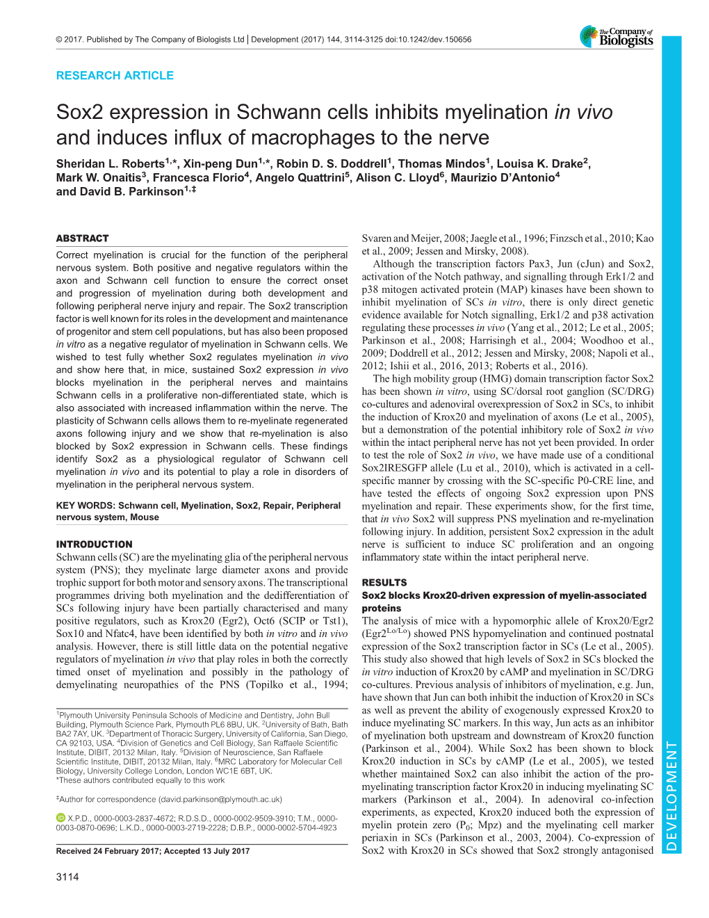 Sox2 Expression in Schwann Cells Inhibits Myelination in Vivo and Induces Influx of Macrophages to the Nerve Sheridan L