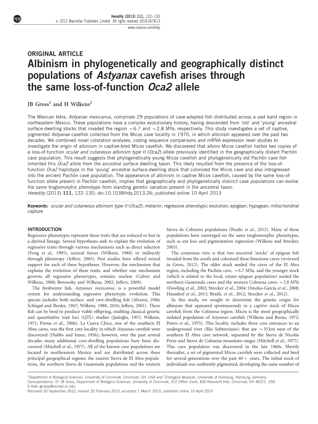 Albinism in Phylogenetically and Geographically Distinct Populations of Astyanax Caveﬁsh Arises Through the Same Loss-Of-Function Oca2 Allele