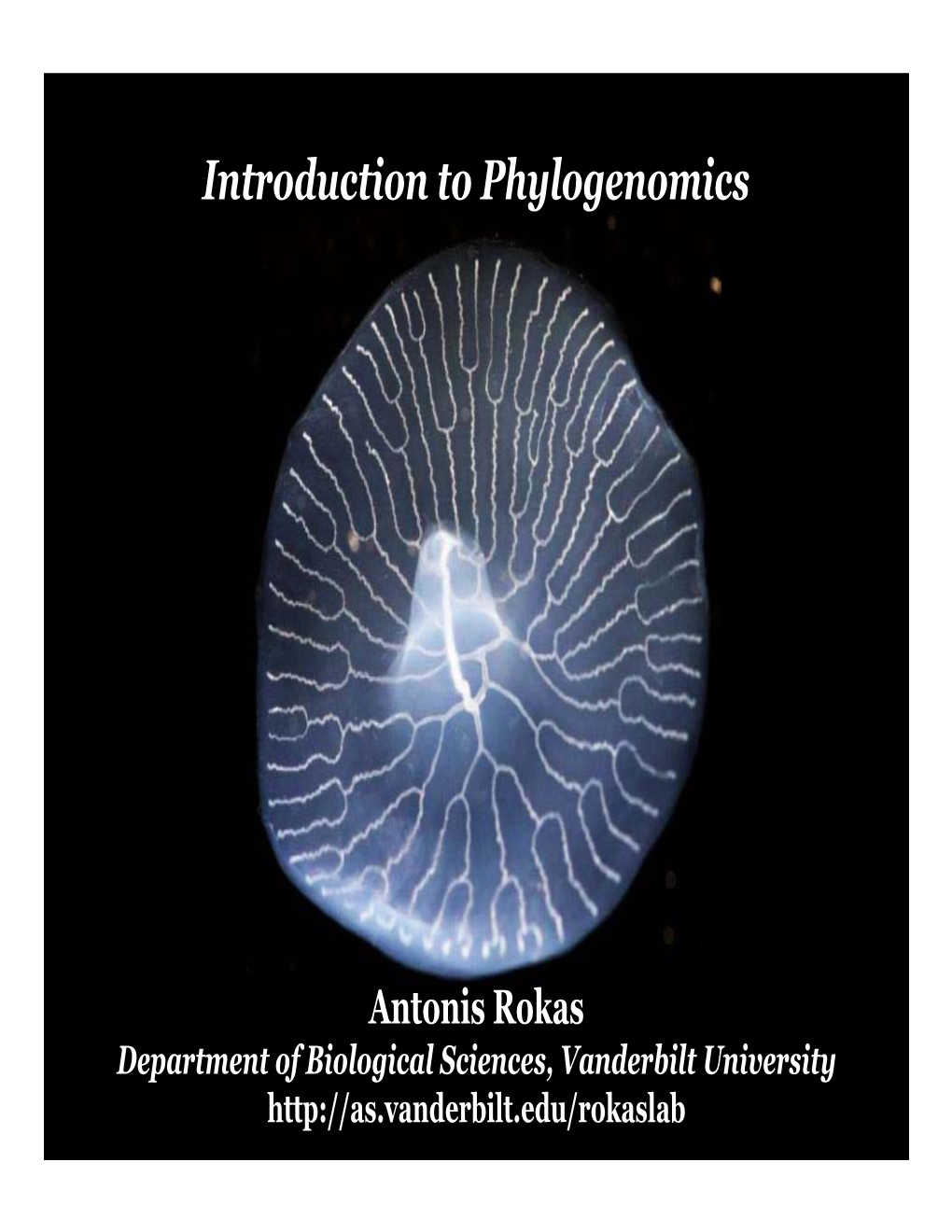 Introduction to Phylogenomics