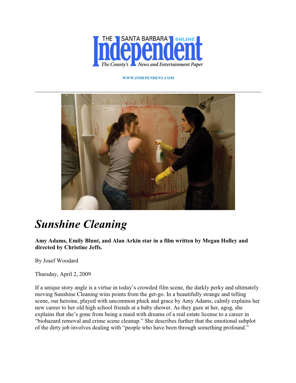 Sunshine Cleaning