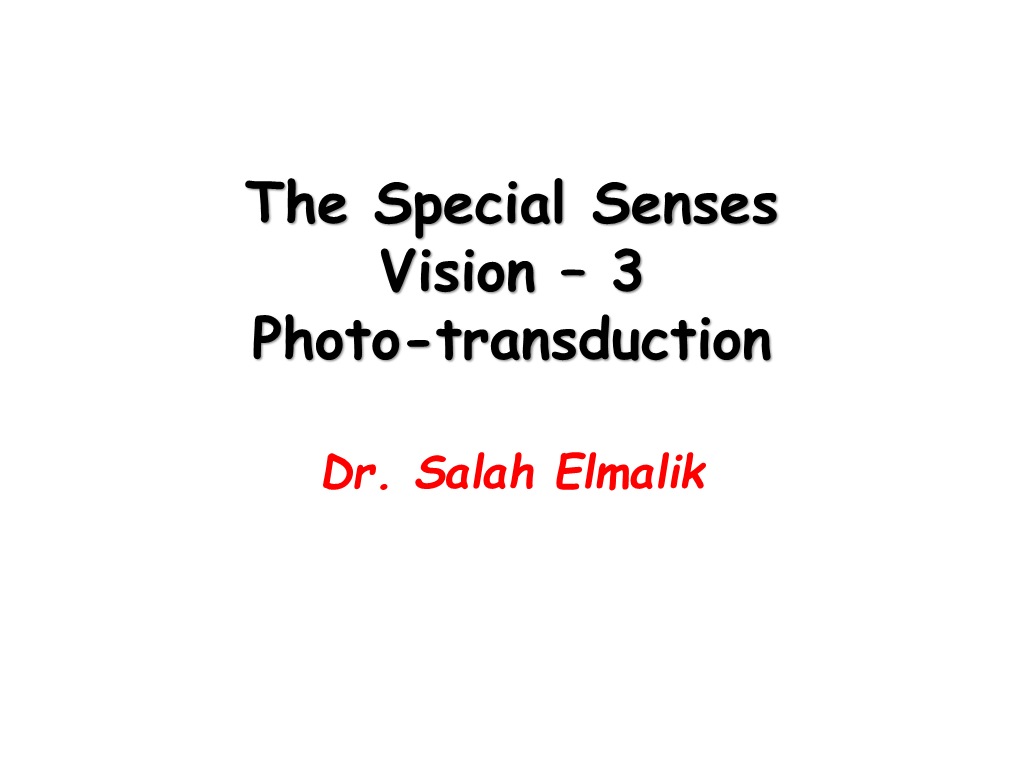 Physiology of Vision