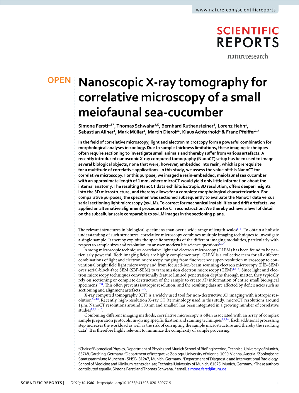 Nanoscopic X-Ray Tomography for Correlative Microscopy of a Small