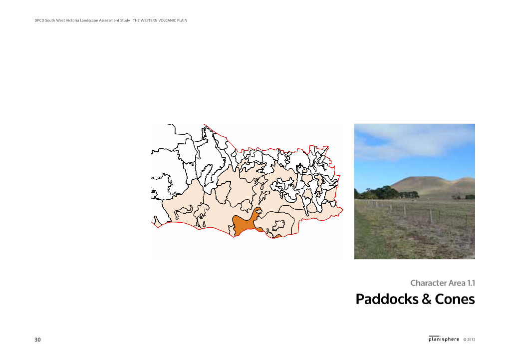 Paddocks & Cones