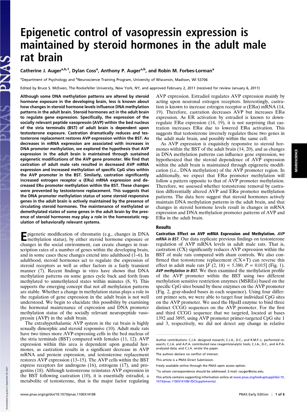 Epigenetic Control of Vasopressin Expression Is Maintained by Steroid Hormones in the Adult Male Rat Brain