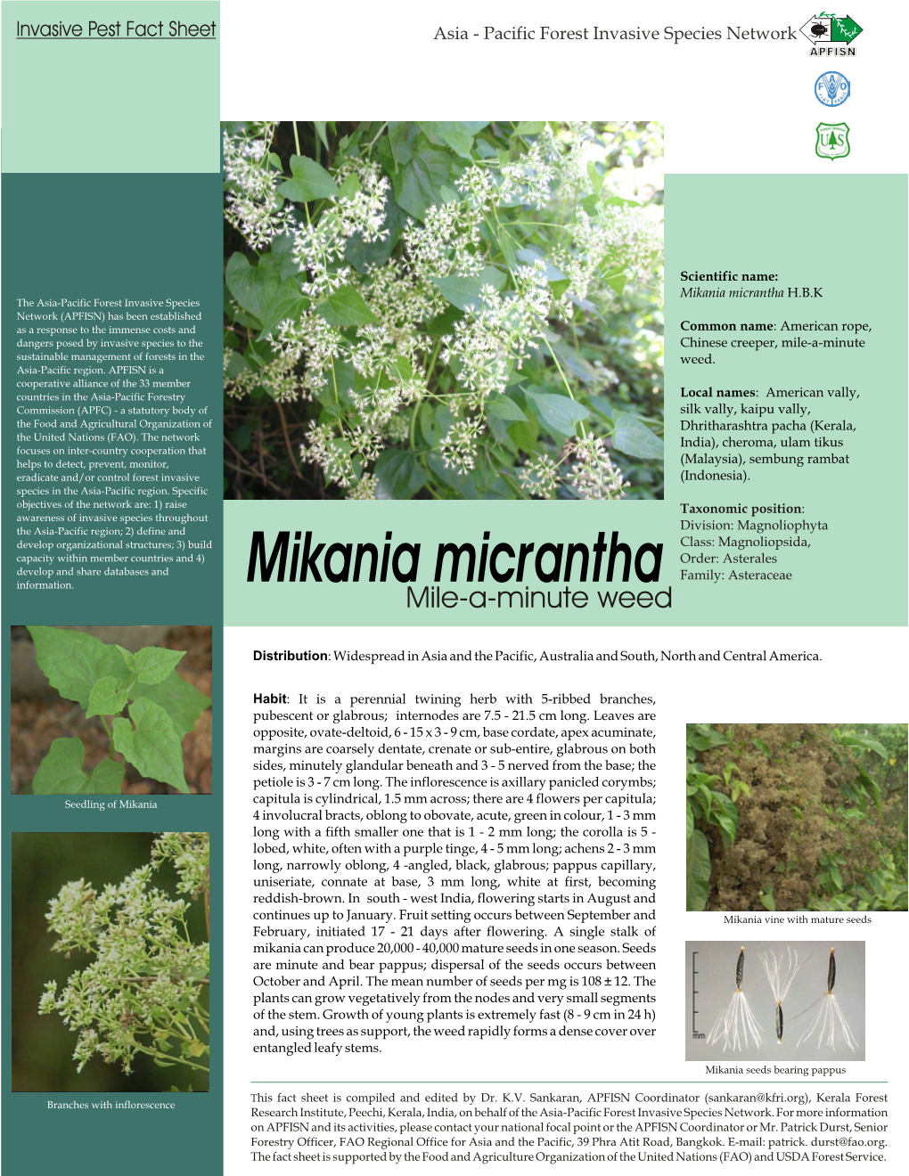 Mikania Micrantha