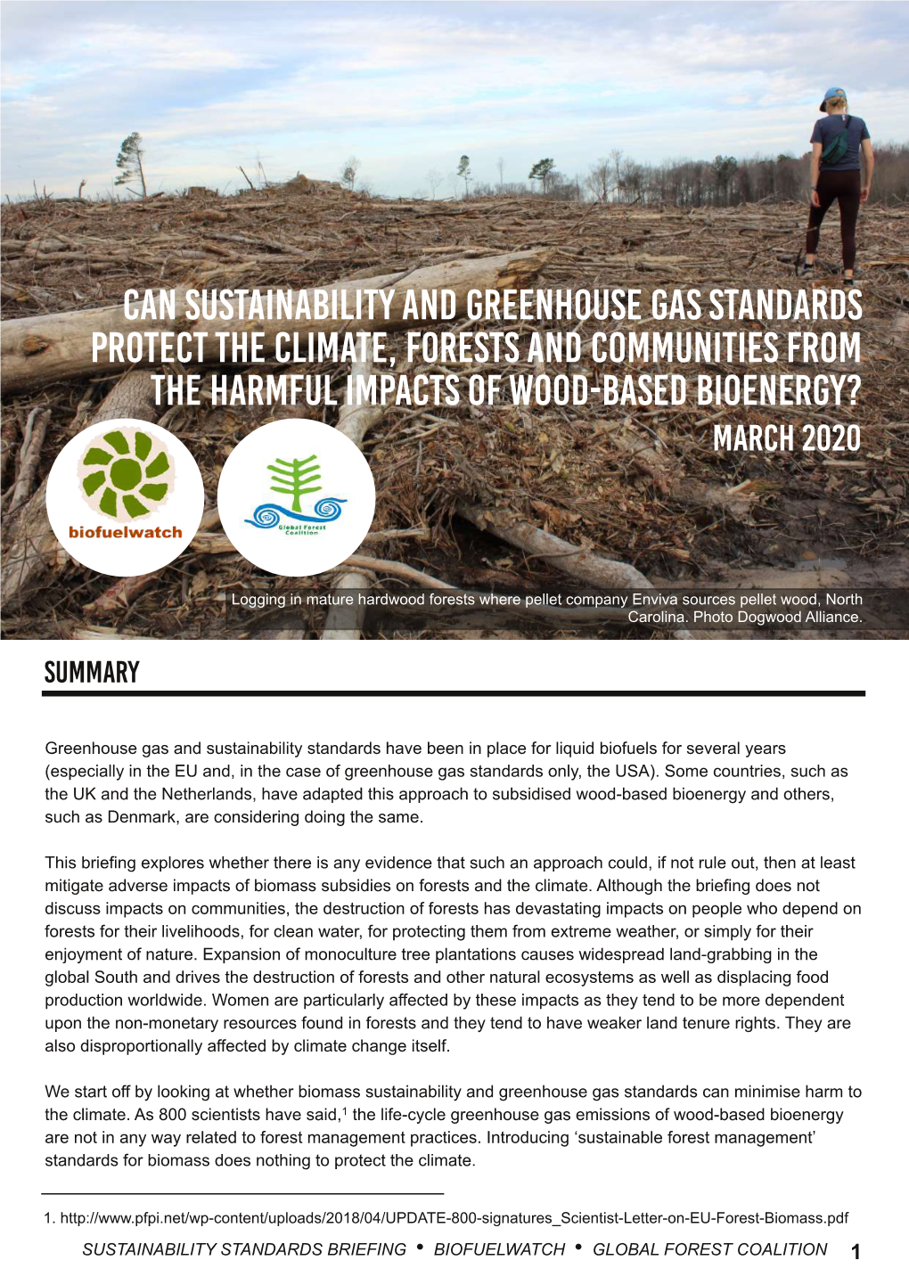 Can Sustainability and Greenhouse Gas Standards Protect the Climate, Forests and Communities from the Harmful Impacts of Wood-Based Bioenergy? March 2020