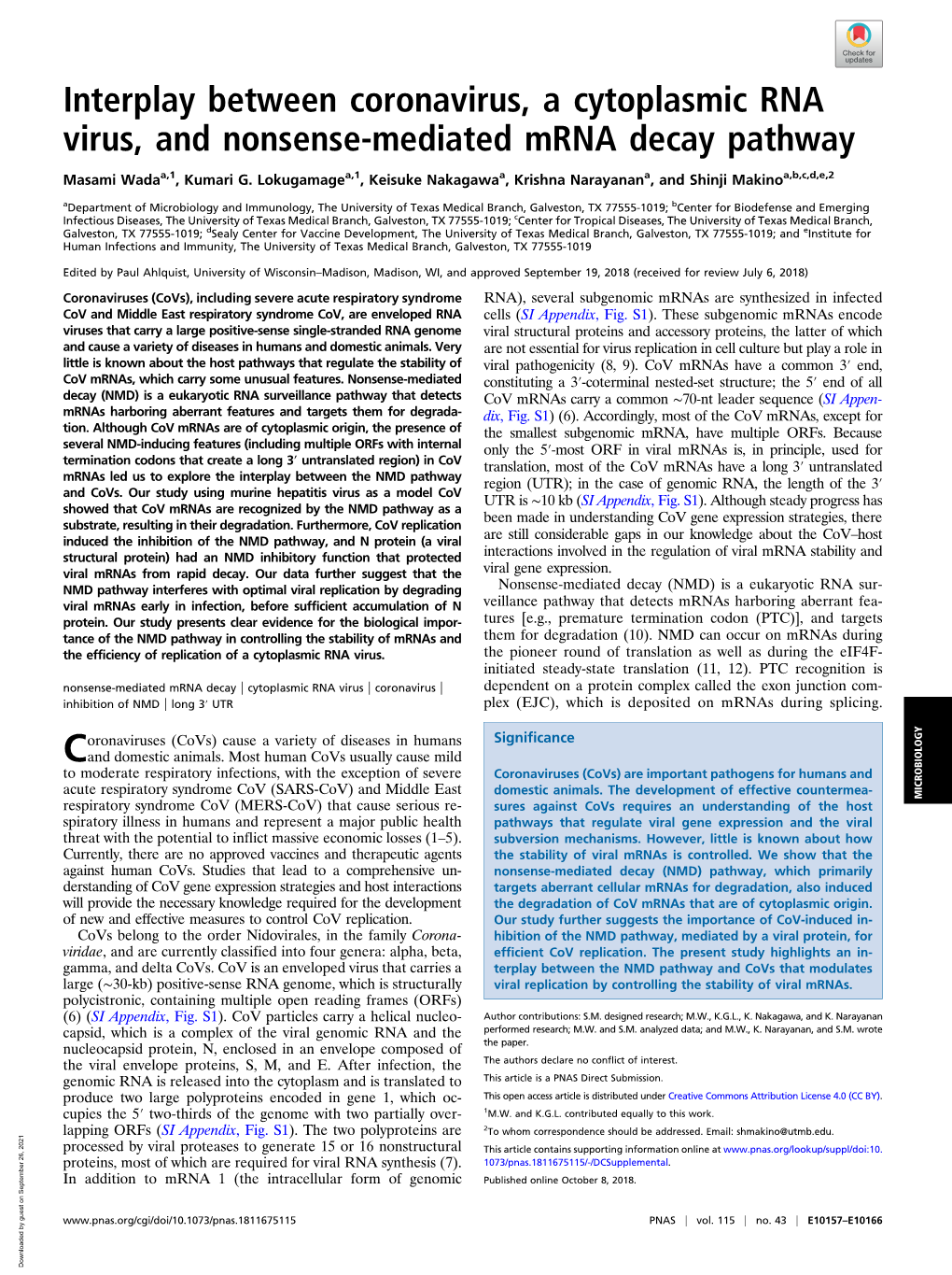 Interplay Between Coronavirus, a Cytoplasmic RNA Virus, and Nonsense-Mediated Mrna Decay Pathway