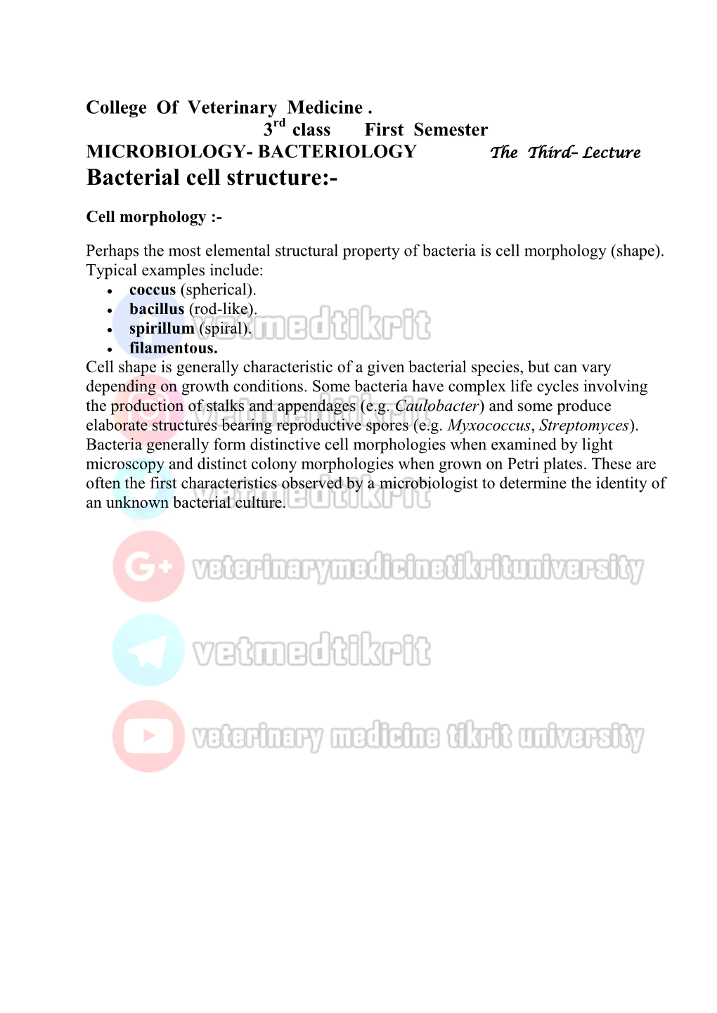 Bacterial Cell Structure