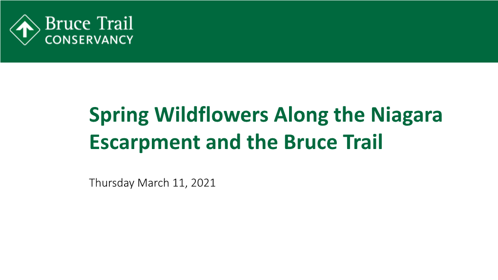 Spring Wildflowers Along the Niagara Escarpment and the Bruce Trail