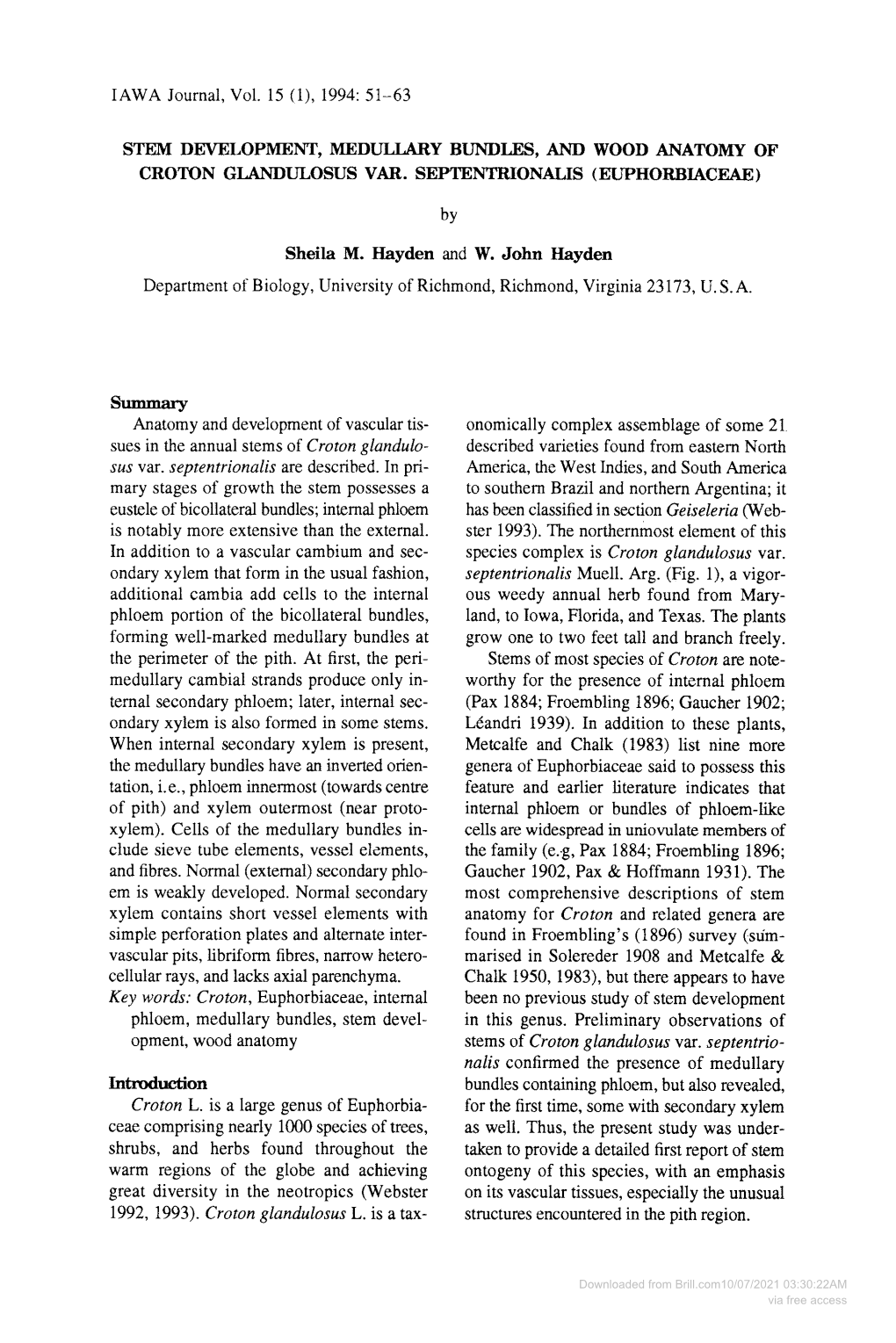 IAWA Journal, Vol. 15 0), 1994: 51~63 STEM DEVELOPMENT