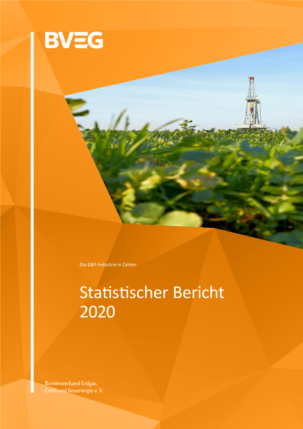 BVEG Statistischer Bericht 2020