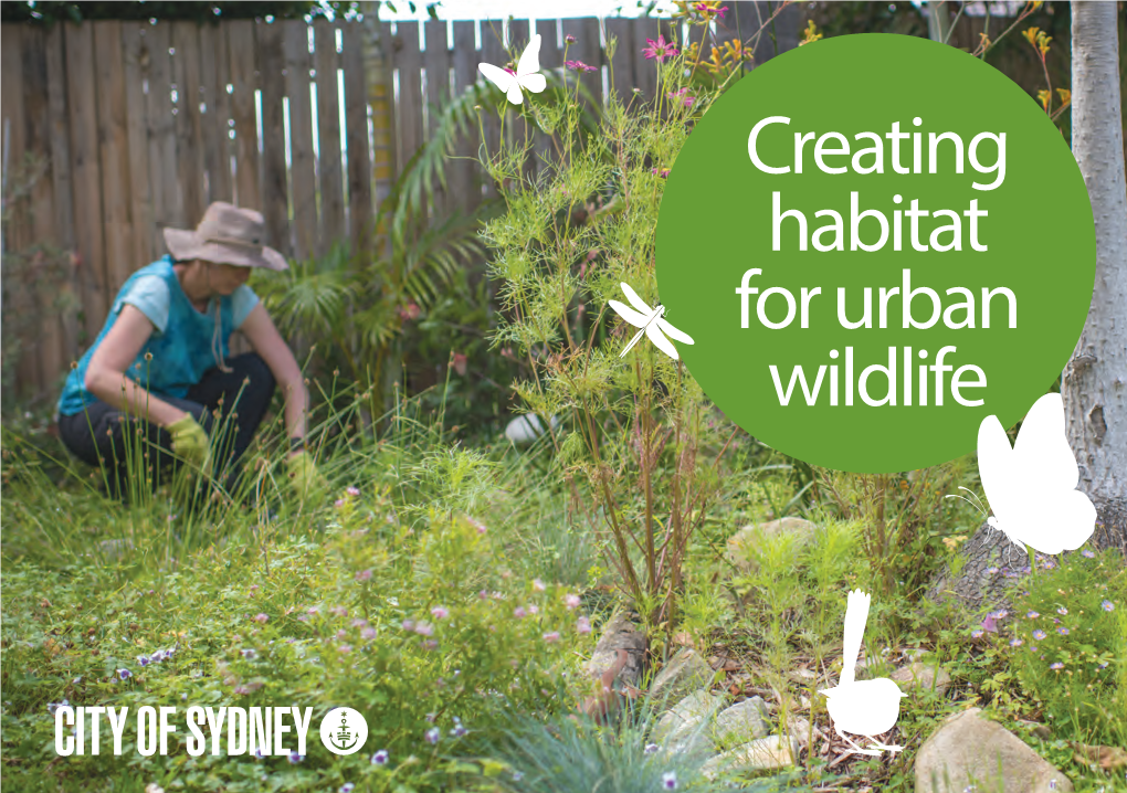 Creating Habitat for Urban Wildlife